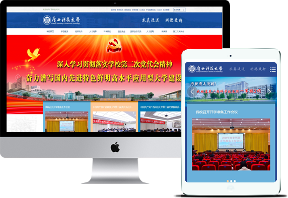 企事业/政府官网建站